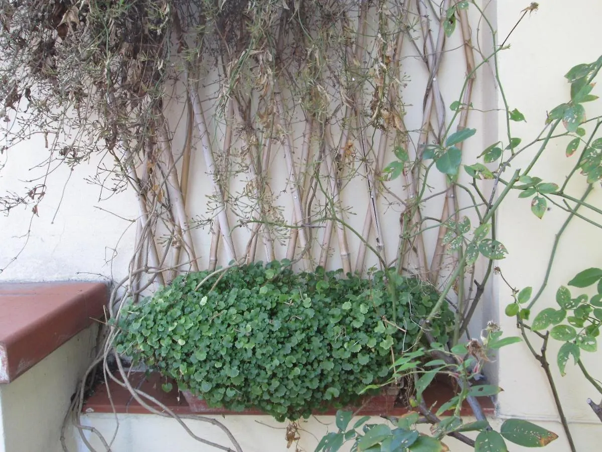 Apartment In Centre Of Florence, Balcony And Terrace With Amazing View 0*, Florencie Itálie